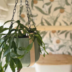 Leren plantenhanger | zwarte ketting